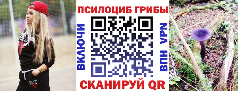 закладки  Алзамай  Псилоцибиновые грибы Cubensis 
